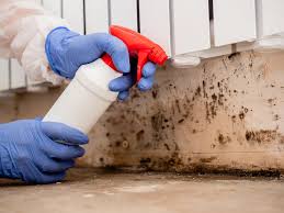 Mold Documentation for Insurance Claims in Columbia, CA